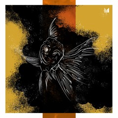 Carlo Whale - Lying Eyes