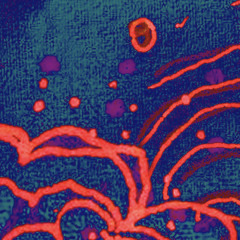 Serpentine - Juliette Liautaud (CRR de Marseille)