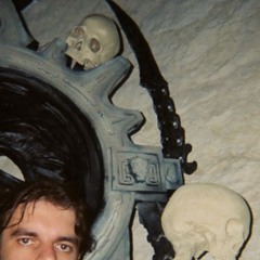 live piękny pies 04.2025