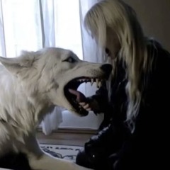dog bite (w/ Willix)