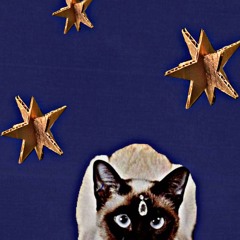 dont make sense #2026 (plus god)