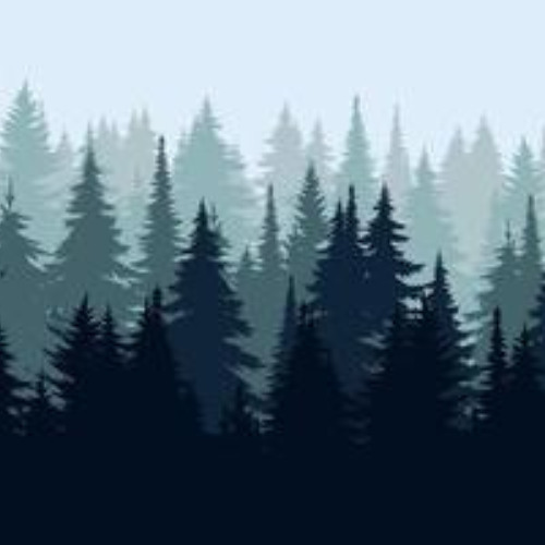 The sapin, Op.75 n.5