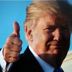 Trumps Perfect Phone Call