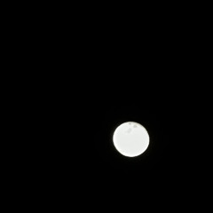 🌑