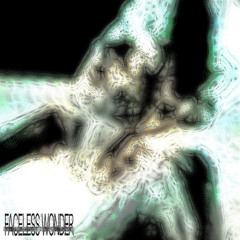 faceless wonder