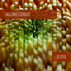 Dynamic Reflection Podcast Series 010: Falling Echoes