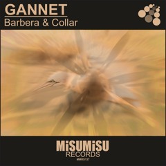 Barbera & Collar - Gannet