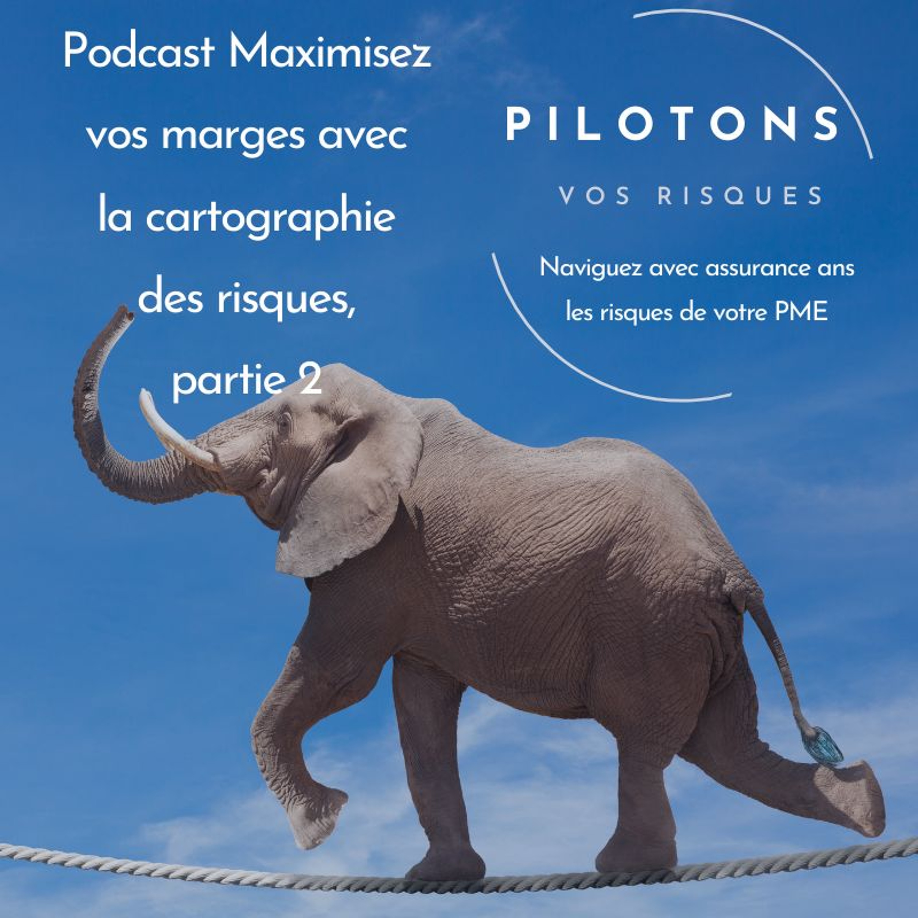 Maximisez vos marges avec la cartographie des risques – partie 2