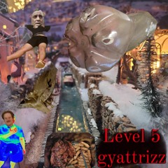 Level 5 Gyattrizz