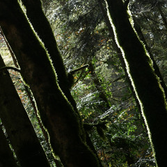 Souvenirs de la mort