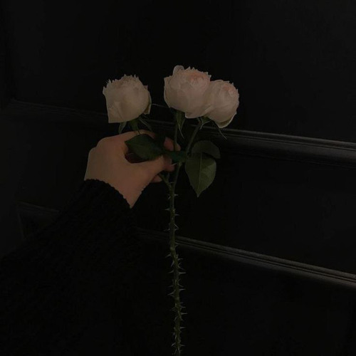 ‎⁨حبيبي اه⁩