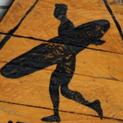 Surfing With The Hallian