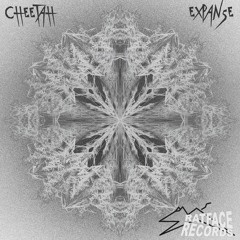 Cheetah - Expanse (FREE DOWNLOAD)