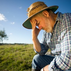 Frontline News Roundup 29 July 2022