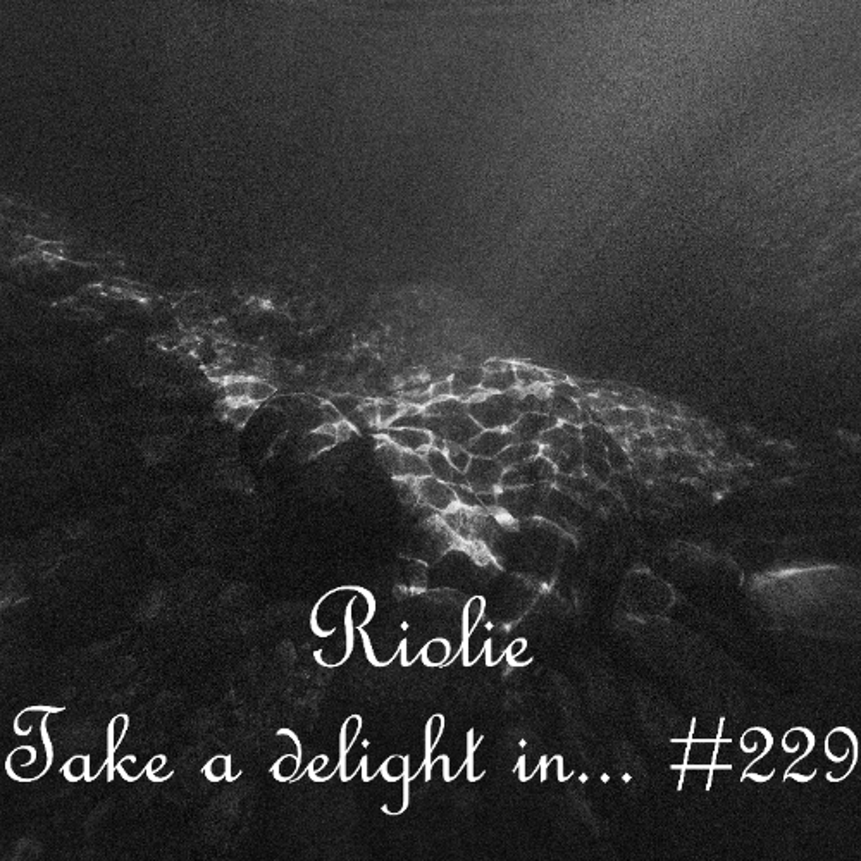 Take a delight in ... № 229 podcast episode artwork