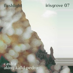 castra & aking kalld pedro - flashlight