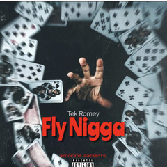 Fly Nigga by Tek Romey.mp3