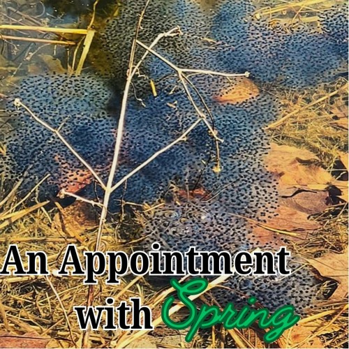 An Appointment with Spring: The Vernal Pools of Connecticut