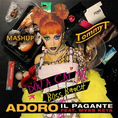 Adoro Bitch Il pagante Doja Cat - TommyT mashup