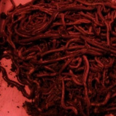 zaoblochno (prod.Rico Yyiwinny)