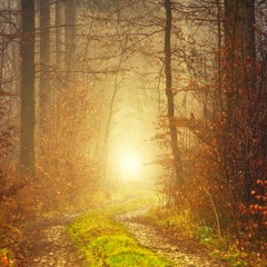 Invocations / Invocatory Prayers