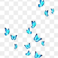 pinche mariposa (prod. tonari)