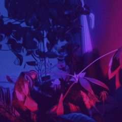 Nocturnal Drums