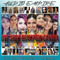 Punjabi Party Mix 2025 Live show Recorded at Brampton Canada - Remix | Audio Empire | DJ RAJU | Dhol Mix | Punjabi DJ REMIX