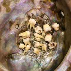 sacral sagitta 6.4.24 [instrumental]