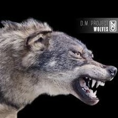 D.M.Project - Wolves (Radio Edit)