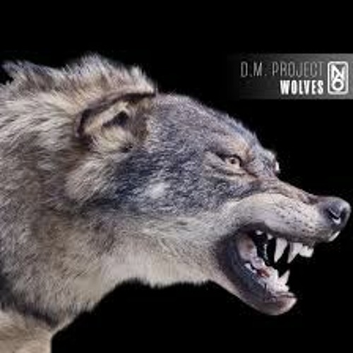 D.M.Project - Wolves (Radio Edit)