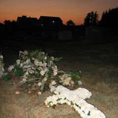 When The Summer Ends