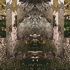 Fear Based Distractions EP