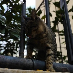 Jorge Mendez - Cold (piano cover)