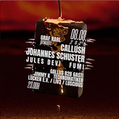 Gallus b2b 6asti Graf Karl 08.03.25