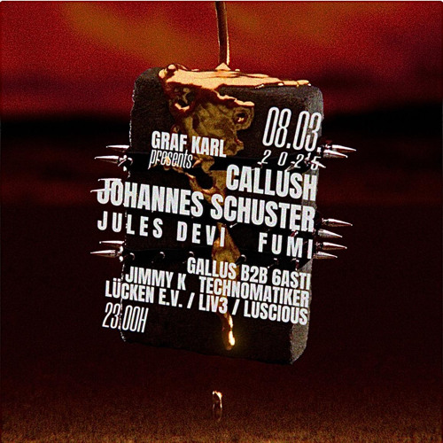 Gallus b2b 6asti Graf Karl 08.03.25