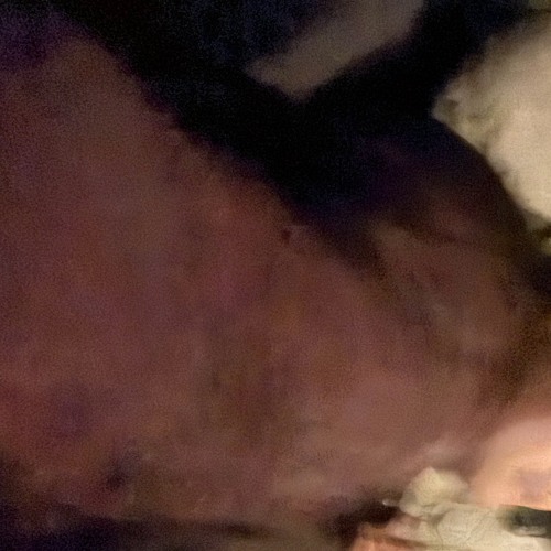 plz... with 이용우 윤찬형