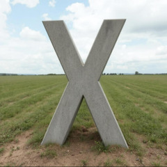 Destination X