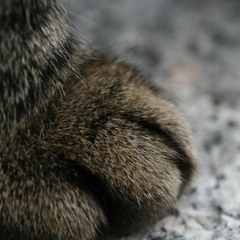 Crazy flip of "Nirvana - Heart-Shaped Box" with pocket operators