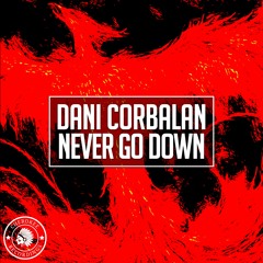 Dani Corbalan - Never Go Down (Radio Edit)