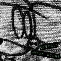 Smoke Right [prod. by NiNTEY8]