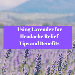 Using Lavender for Headache Relief - Tips and Benefits