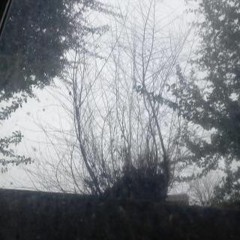 car sick (whiteravenn)