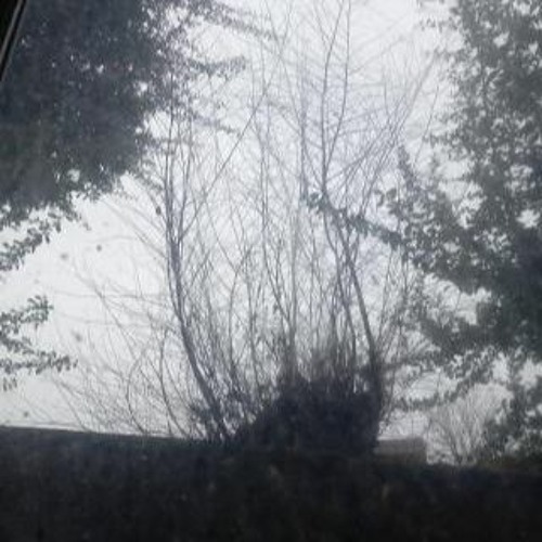 car sick (whiteravenn)