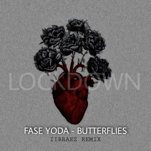 Fase Yoda Butterflies(II BR AEZ)