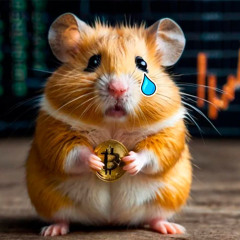 Hate everything about hamster
