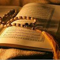 القارئ عبد الرحمن مسعد  تلاوة عذبة