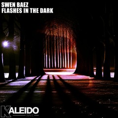 SWEN BAEZ - FLASHES IN THE DARK (RADIO EDIT)