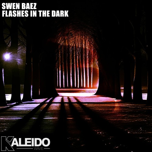 SWEN BAEZ - FLASHES IN THE DARK (RADIO EDIT)