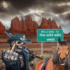 Welcome To The Wild Wild West